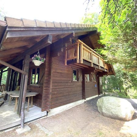 Le Renard, Chalet indépandant en bois La Bresse Exterior foto